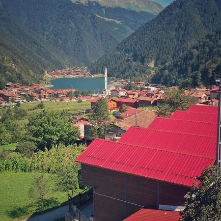 Horio Villa Uzungol Bagian luar foto