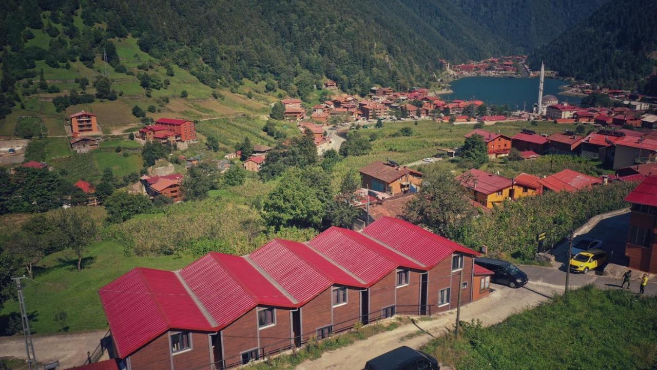 Horio Villa Uzungol Bagian luar foto