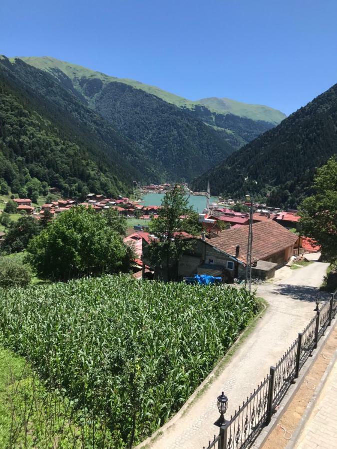 Horio Villa Uzungol Bagian luar foto